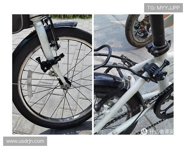 深入分析西安滑板队进攻策略与战术特点的全景解读